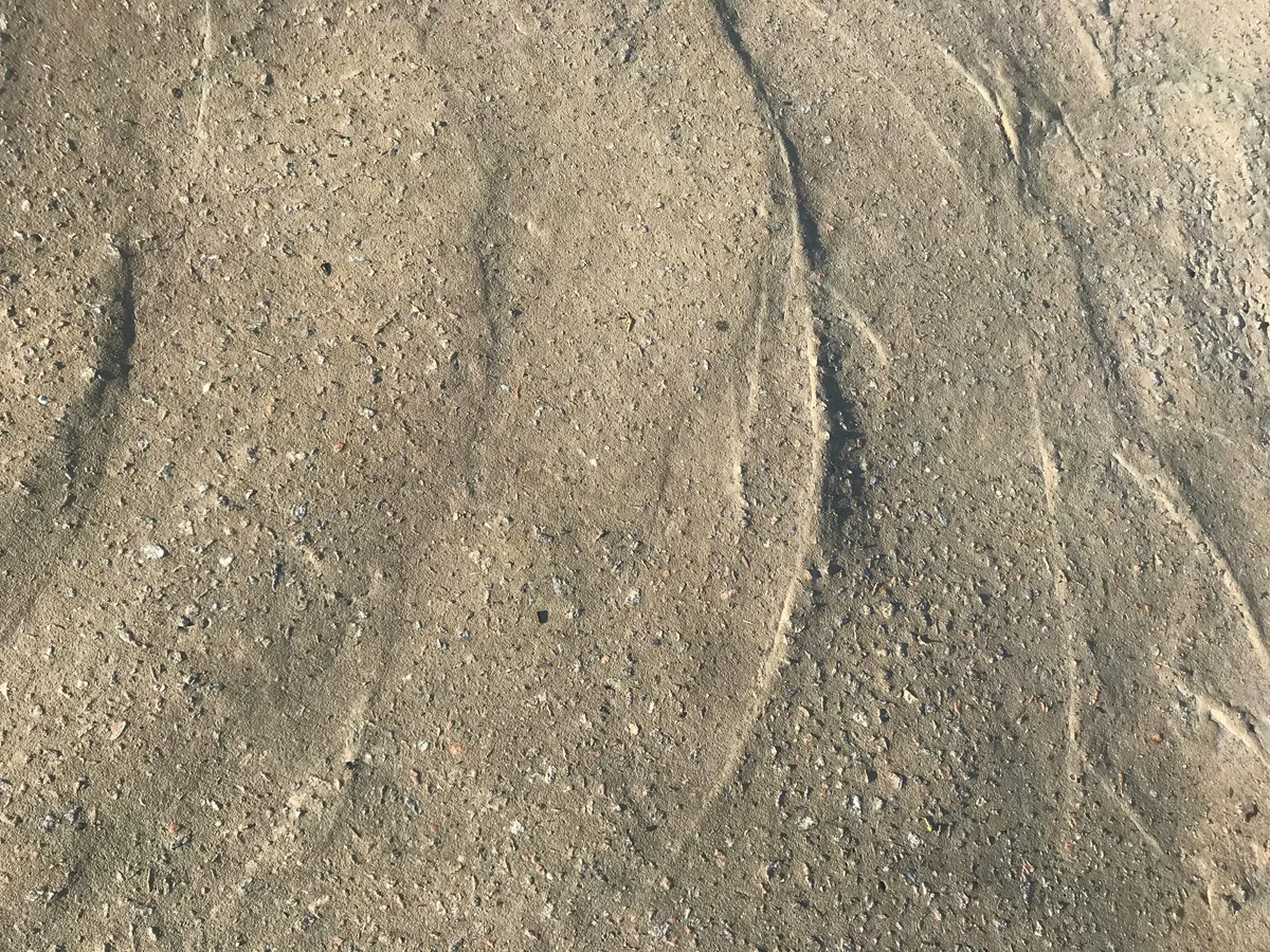 Self-leveling underlayment flowing across a primed Florida concrete slab and spread with a gauge rake