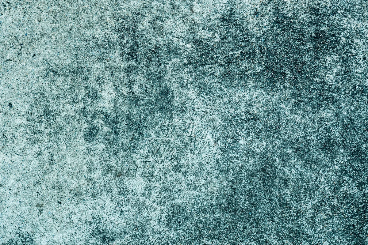 Side-by-side of dark mildewed grout and freshly deep-cleaned grout in a Florida bathroom floor